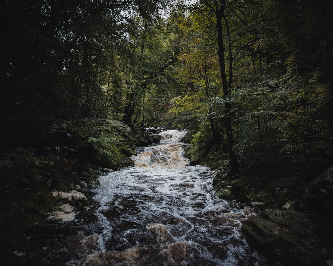 Lentekriebels in de Ardennen: perfect wandelweer
